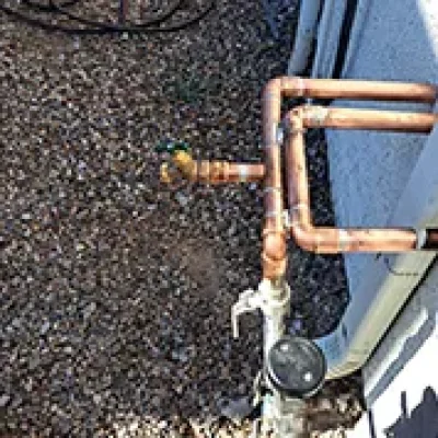 Experienced Local Specialists